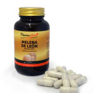 Melena de León Pàmies Vitae