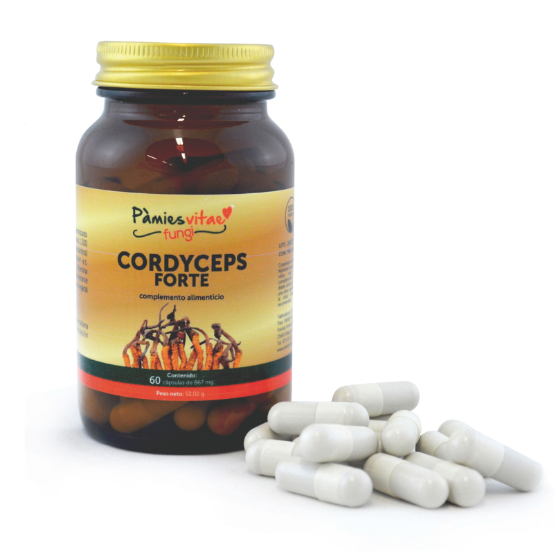 CORDYCEPS