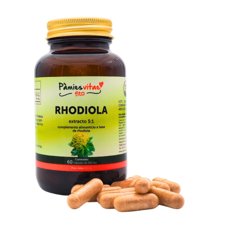 Rhodiola