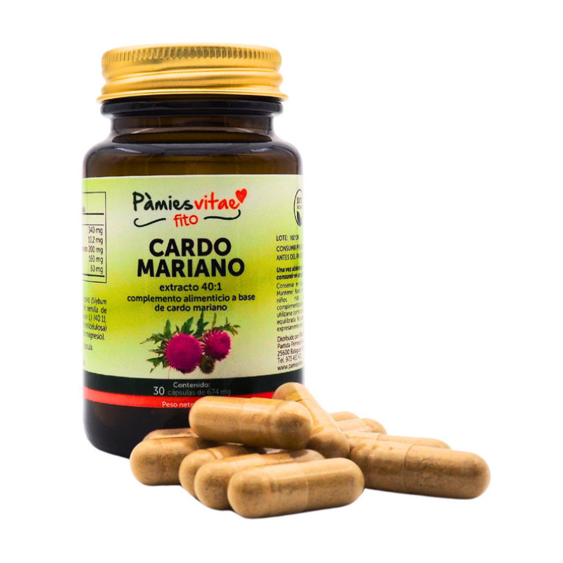 Cardo Mariano