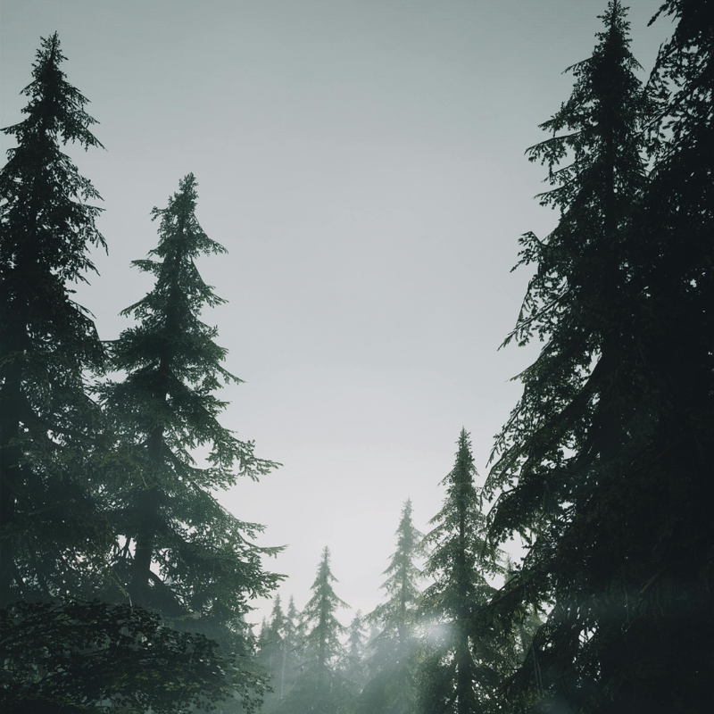 RESPIRATORIO Y BUCAL