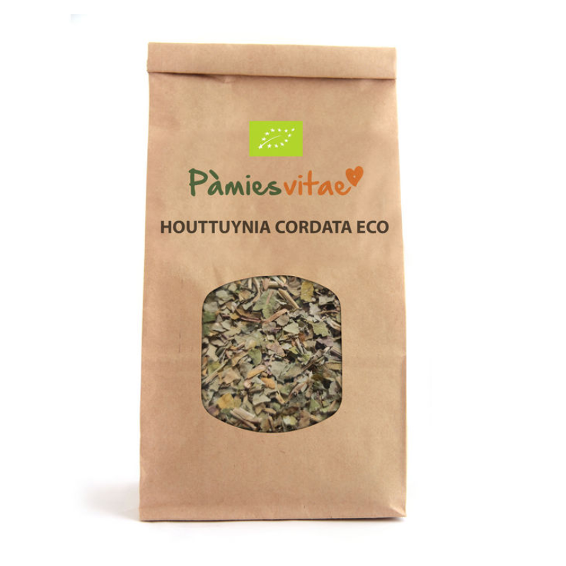 HOUTTUYNIA HIERBA DEL PESCADO ECO – Houttuynia cordata